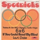 Spotnicks - If You Could Read My Mind